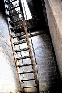 Forest Haven stairwell to rooftop, Curley Building West