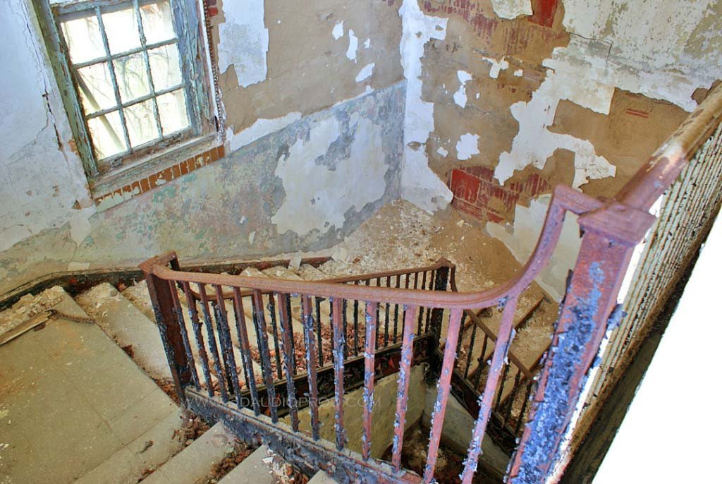 Forest Haven stairwell in admin building