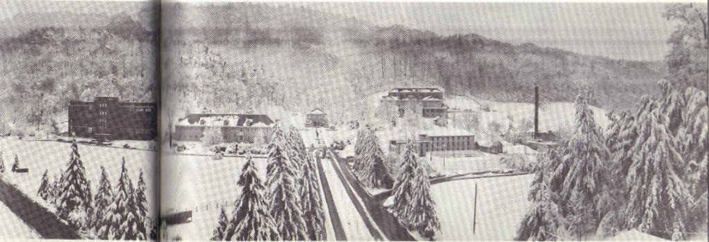 Pressmens-Home-Winter-Panorama