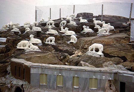 holyland-usa-construction-plaster-animals