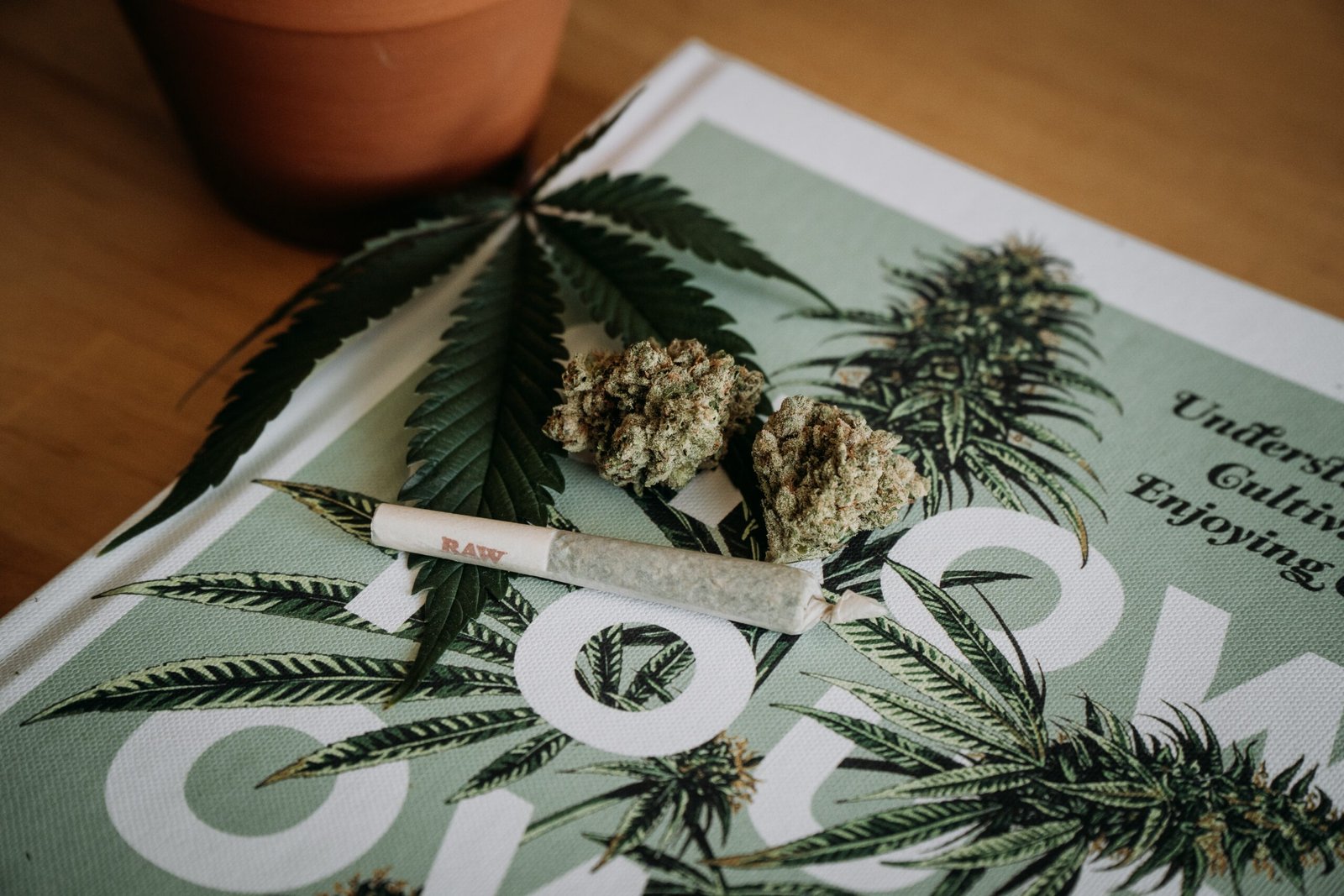 3 Affordable Dispensaries You Can Find Online Sometimes Interesting