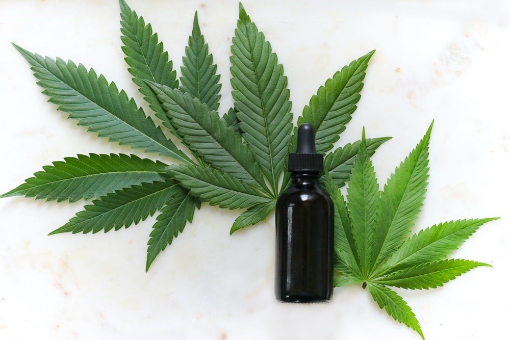 what-is-hemp-oil-and-what-are-its-benefits-sometimes-interesting