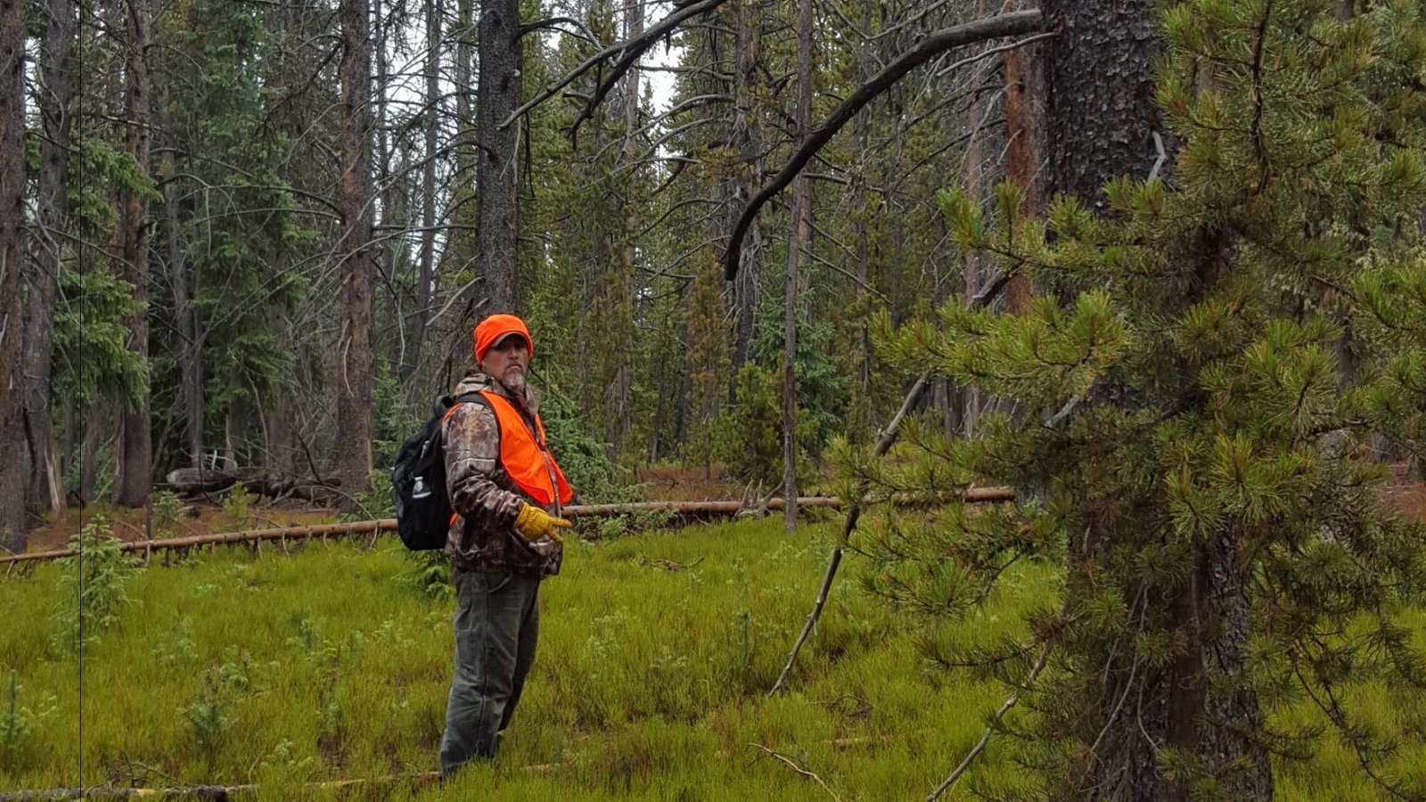 Why should hunters wear daylight fluorescent orange clothing ...