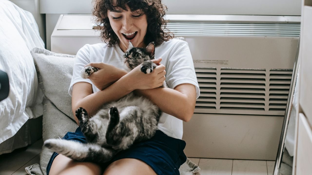 My Male Cat Sleeps on My Chest Why Is This? Sometimes Interesting