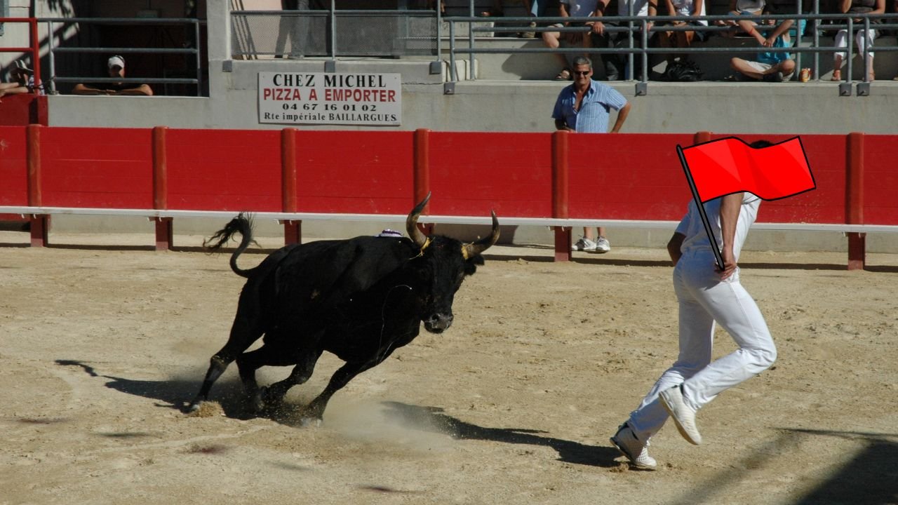 why do bulls hate red