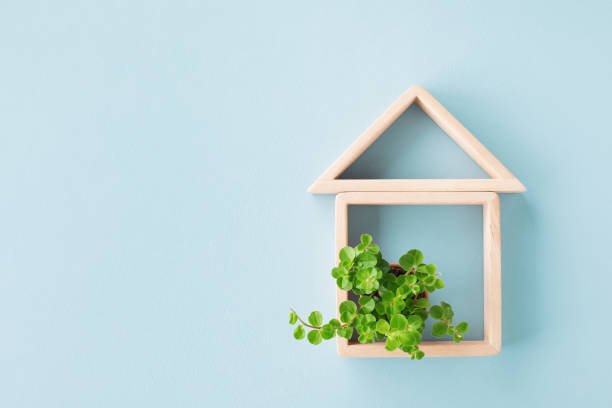6 Ways to Make Your House More Green - Sometimes Interesting