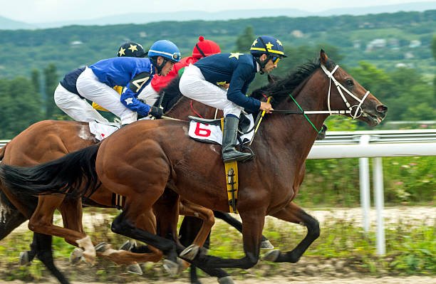 The 3 biggest horse races in the world - Sometimes Interesting